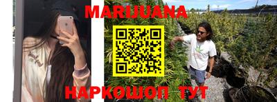 сатива Чебоксары