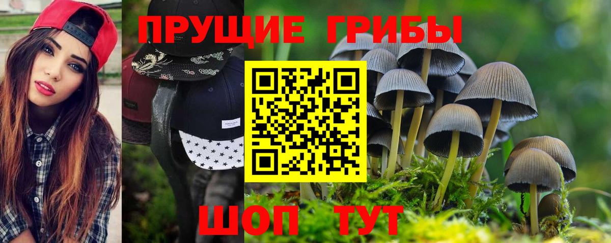 Псилоцибиновые грибы MAGIC MUSHROOMS  Вход с VPN  Воскресенск 